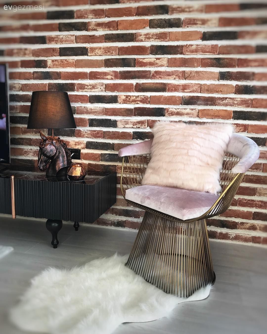 Berjer, Metal sandalye, Pembe, Abajur, Post halı, Tv ünitesi, Taş duvar, Salon