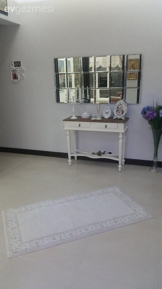 Antre, Ayna, Dresuar