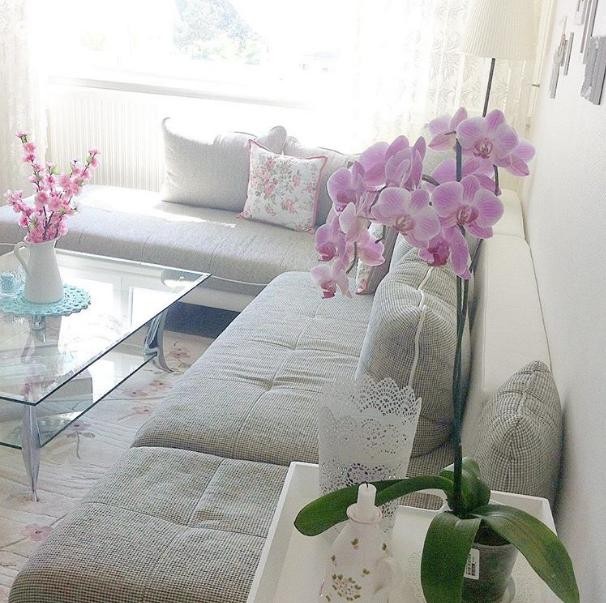 Çiçekler, Gri, Köşe koltuk, Mor, Salon, Sehpa