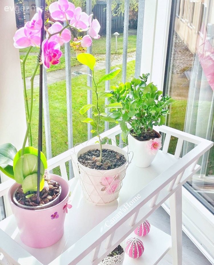 Çiçeklik, Ikea, Yatak Odası