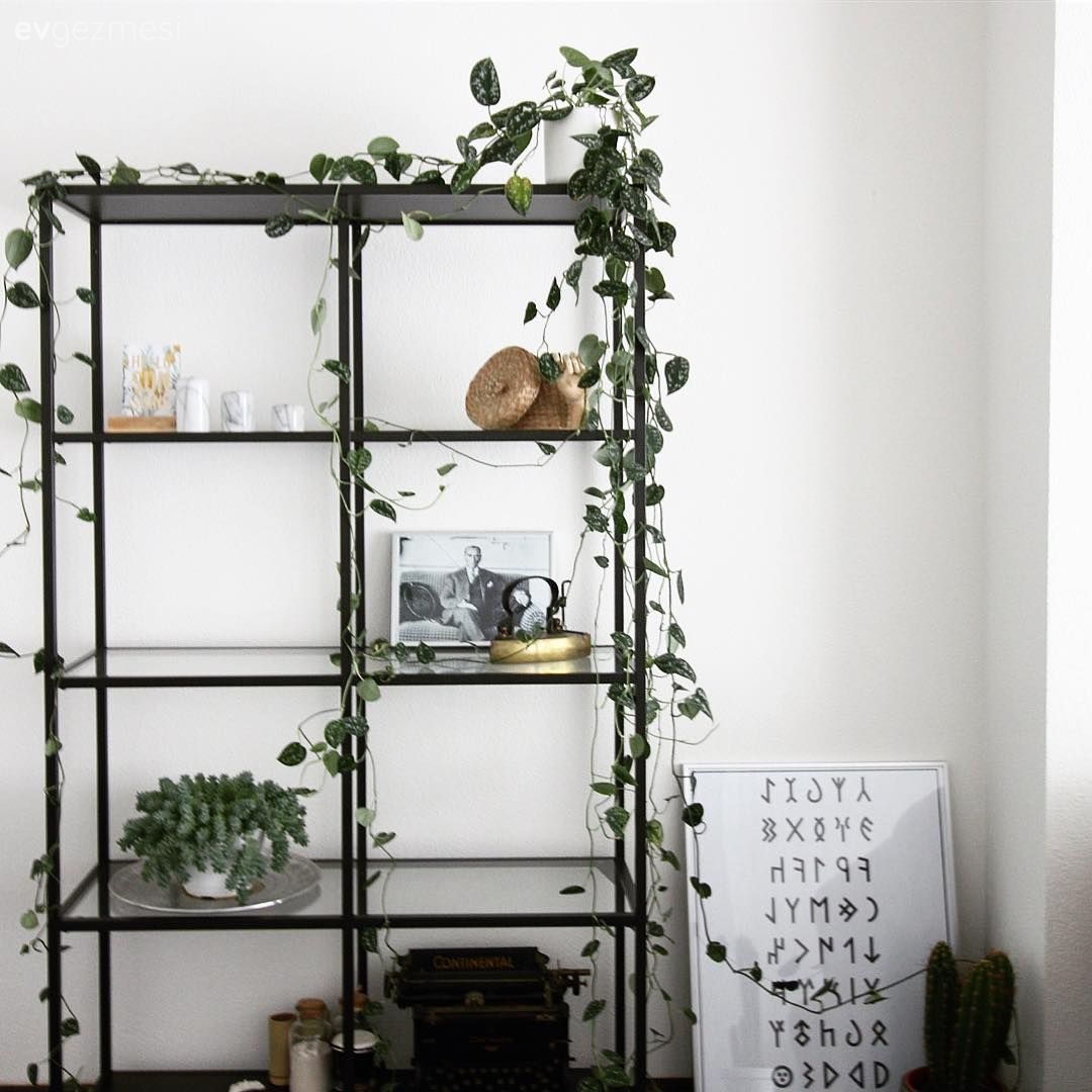 Aydınlık ve Doğal: Ayşe Hanım'ın İskandinav Esintili Evi