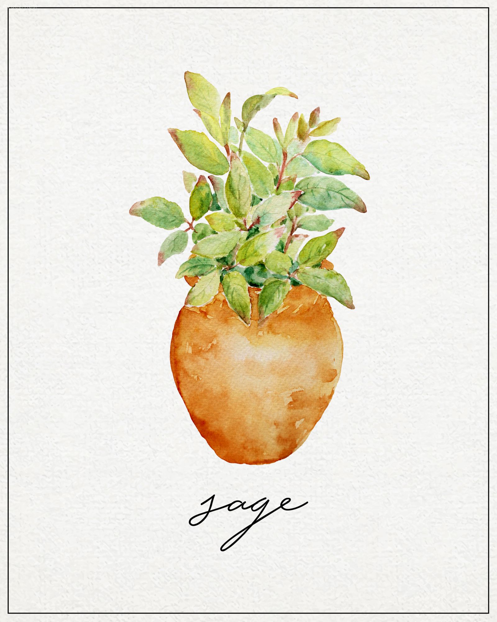 Bedava Baskılardan Tablo:  Bitki Çizimleri ile Harika Duvar Dekorları!