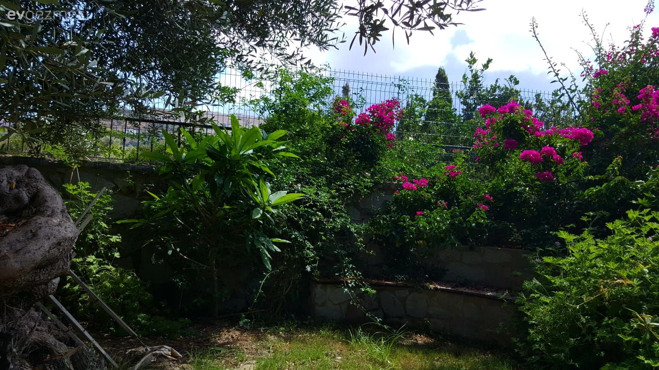 40 yıllık arkadaşlarla beraber mutlu bir yaşam. Zeytin Sitesi'ne konuğuz..