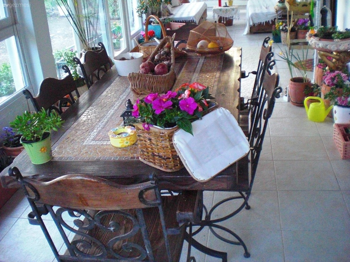 Çiçekler İçinde Bir Alan: Mustafa Bey'in Kış Bahçesi