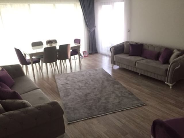 Salon, Mor, Gri, Halı, Yemek Odası, Fon perde