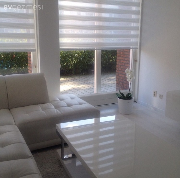 Beyaz, Orta sehpa, Salon