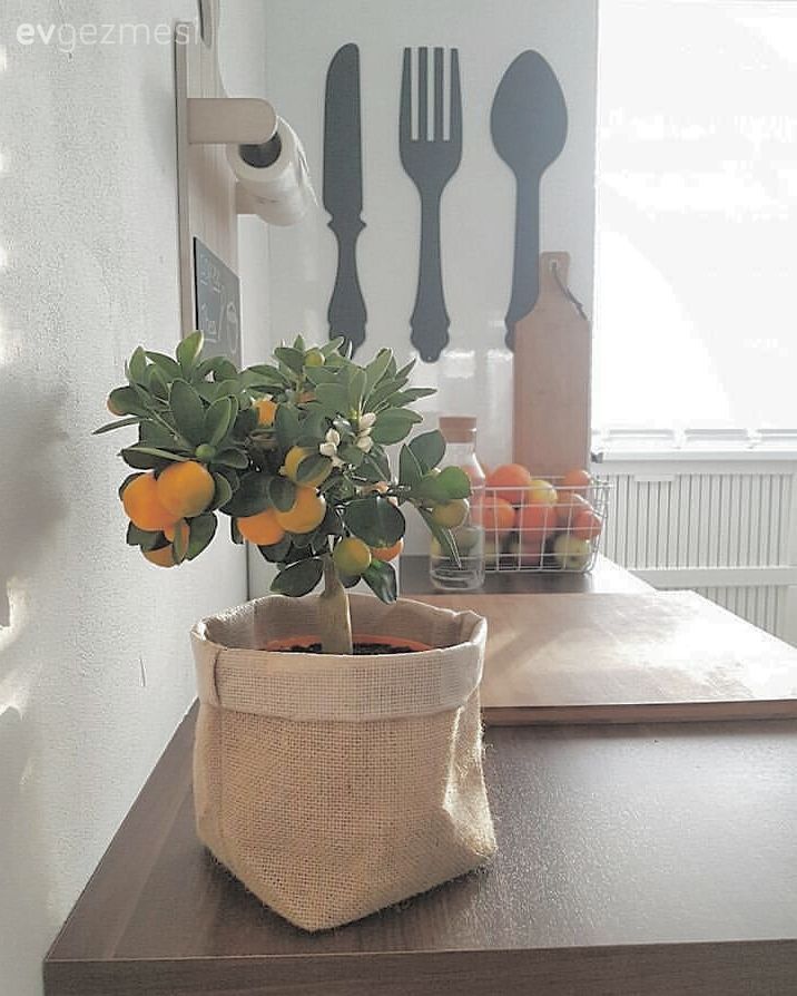 Mutfak aksesuarları, Mutfak, Çiçekler