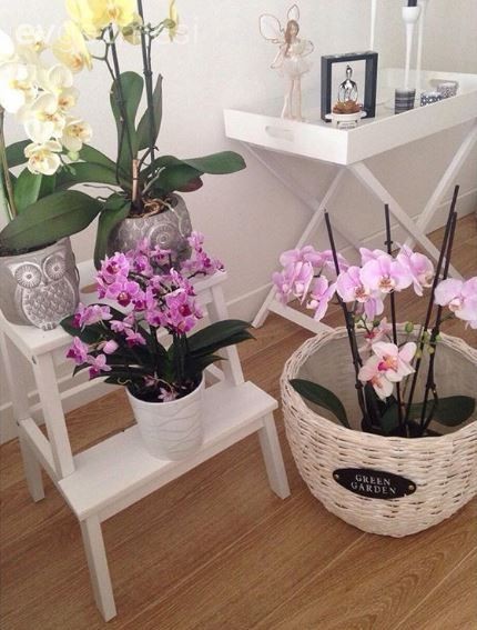 Yeliz hanımın beyazın büyüsünde, keyifli evinden yeni kareler..