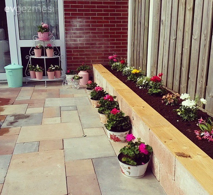 Bahçe, Çiçekler, Pembe