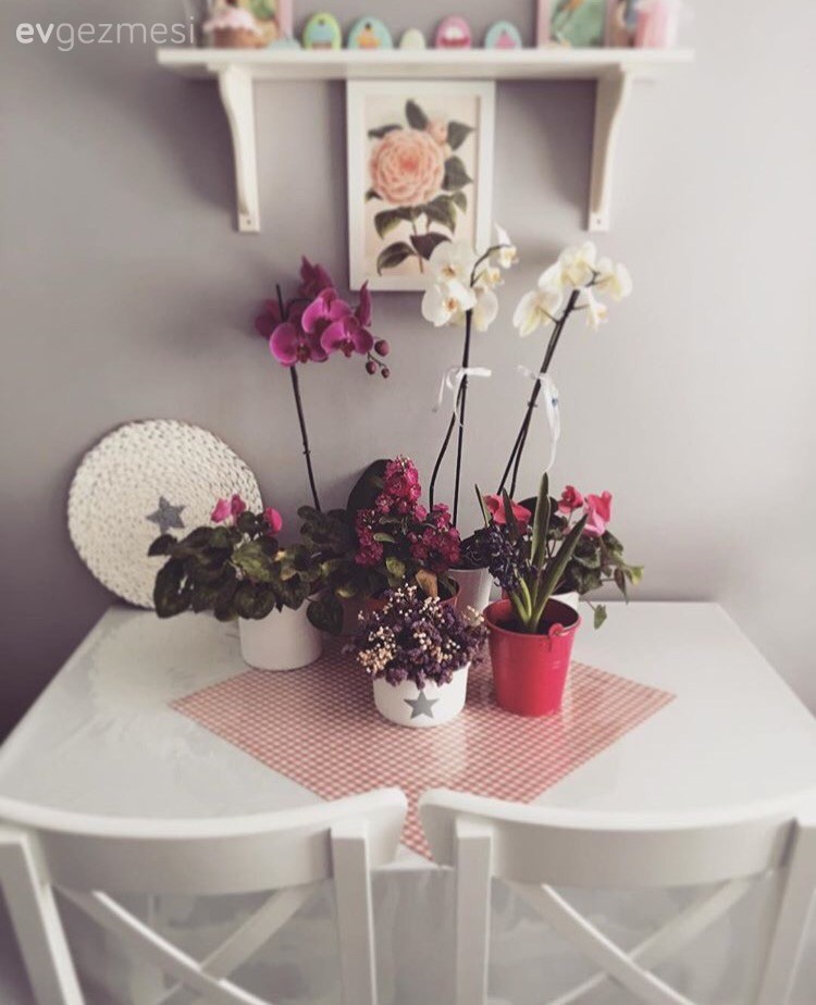 Fulya hanımın her köşesi keyifli detaylarla dolu, huzurlu evi..