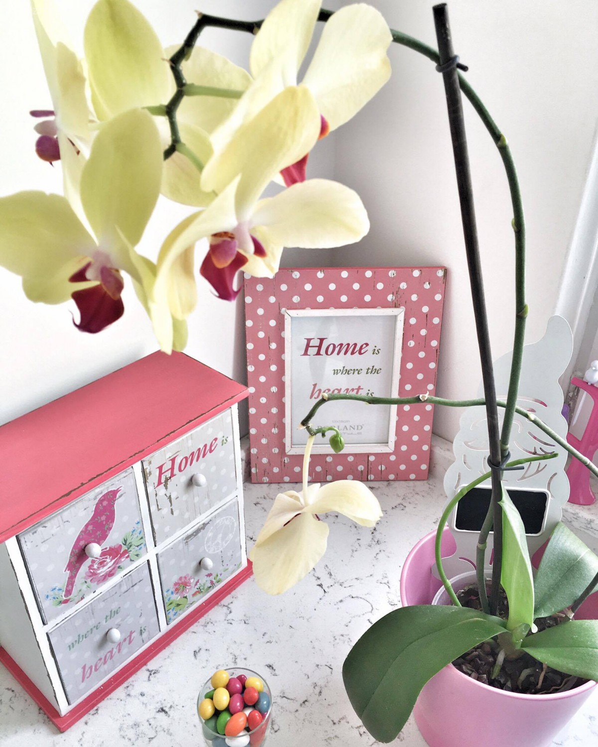 Çiçekler, Dekoratif Objeler