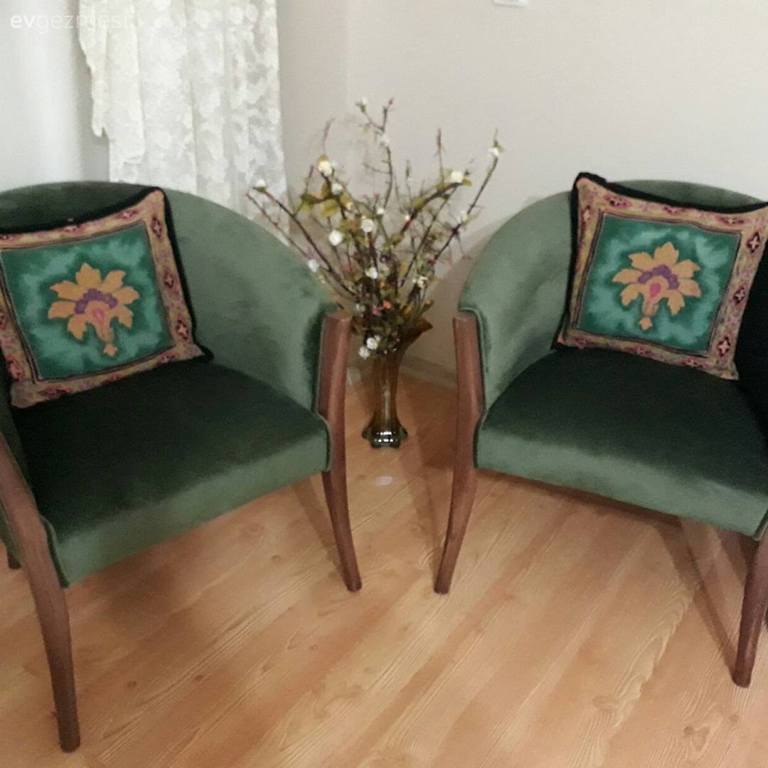 Solanum nasıl olmuş..