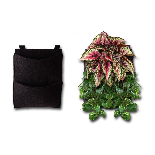 Flora Costa 2 Cepli Dikey Bahçe