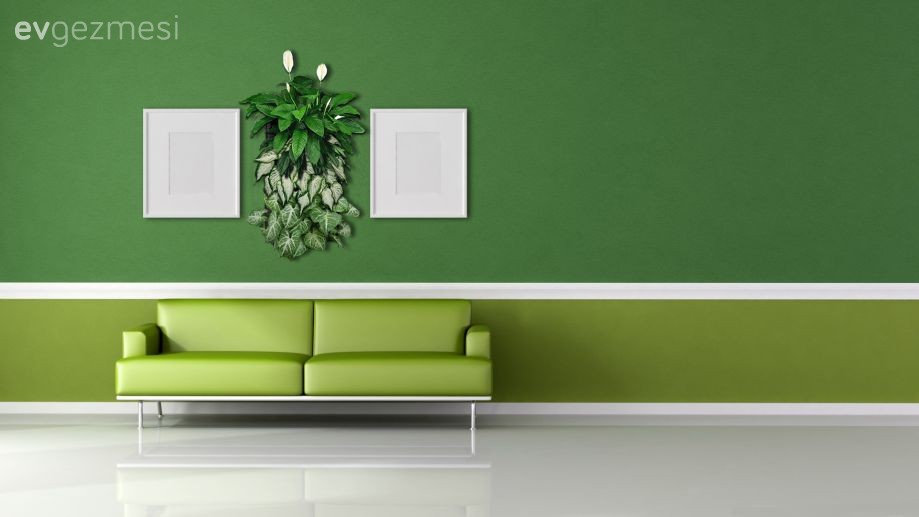 Flora Costa 3 Cepli Dikey Bahçe