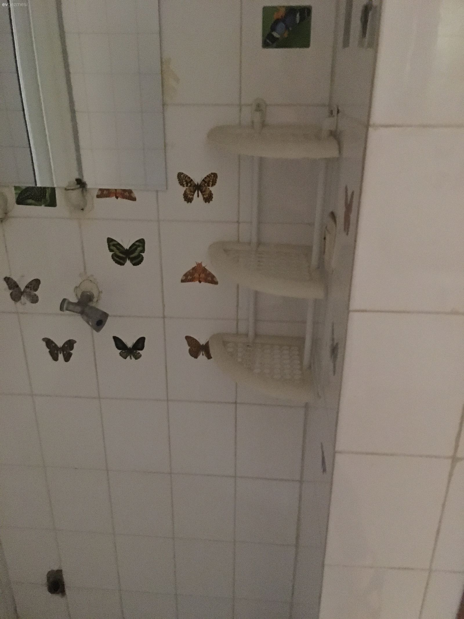banyo tadilatı