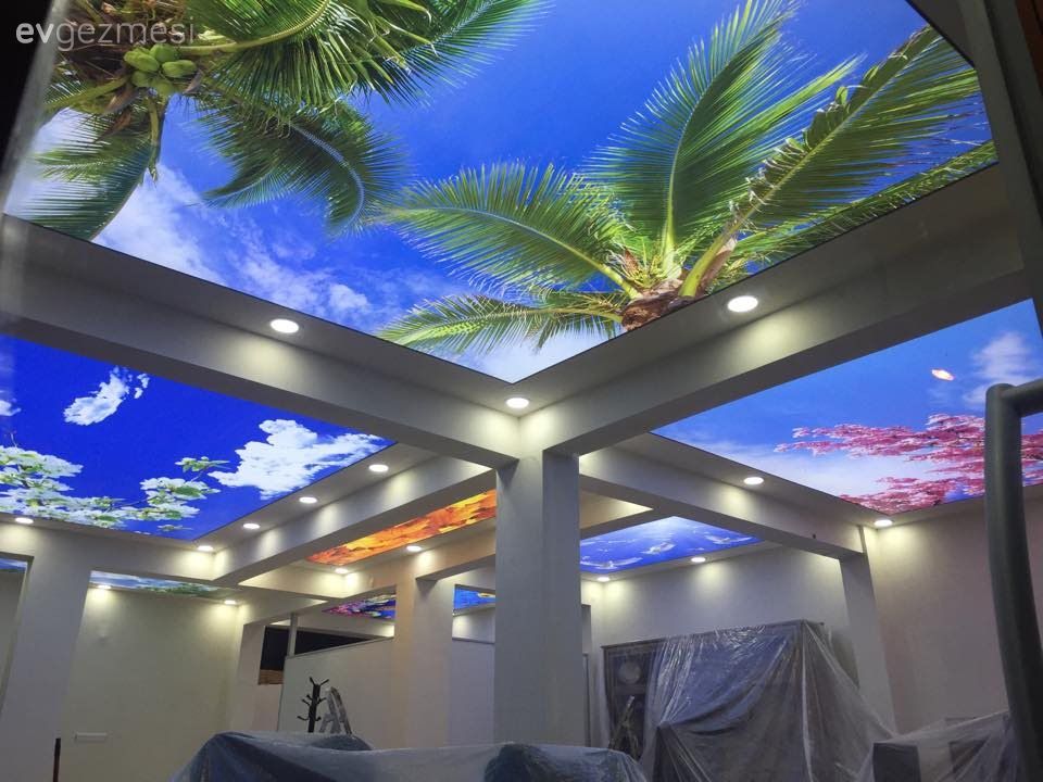 Yaratıcı Boya Badana ve Dekorasyon Önerisi Alabilir Miyim?