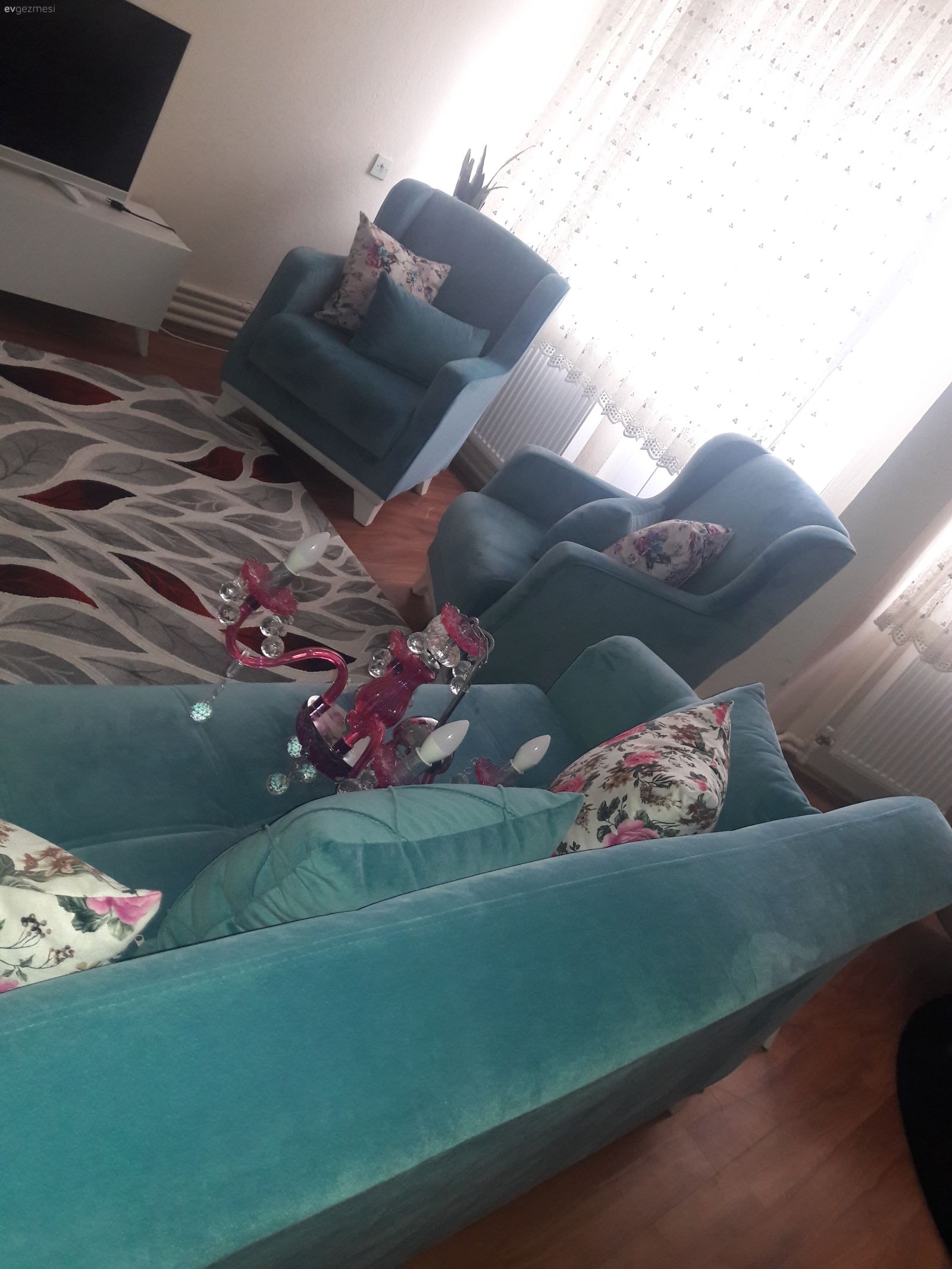 Yeni taşındım yardım ?