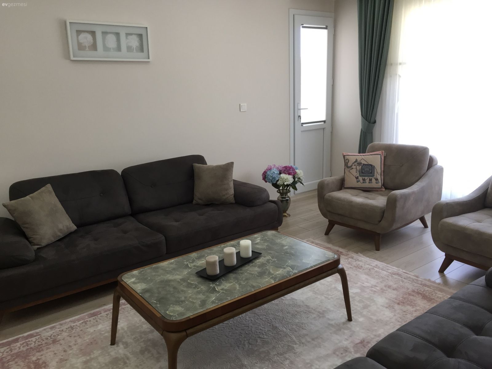 Salon, Orta sehpa, Halı, Modern