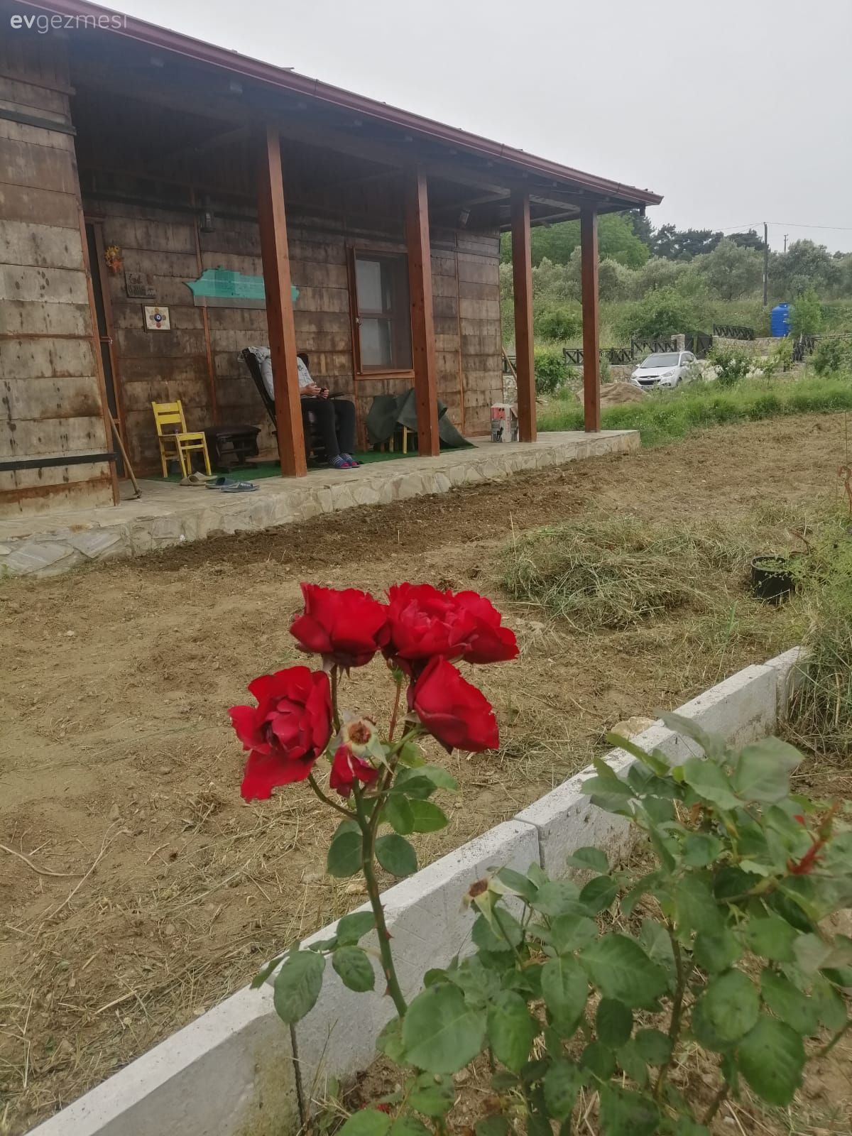 Kim Der Ki Bu Büyüleyici Evin Ahşapları Eski Bir Yolcu Gemisinden Alınmış!