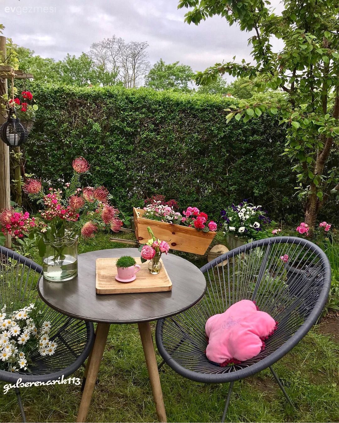 Cennetten Bir Köşe: Gülseren Hanım'ın Rengarenk Bahçesi!