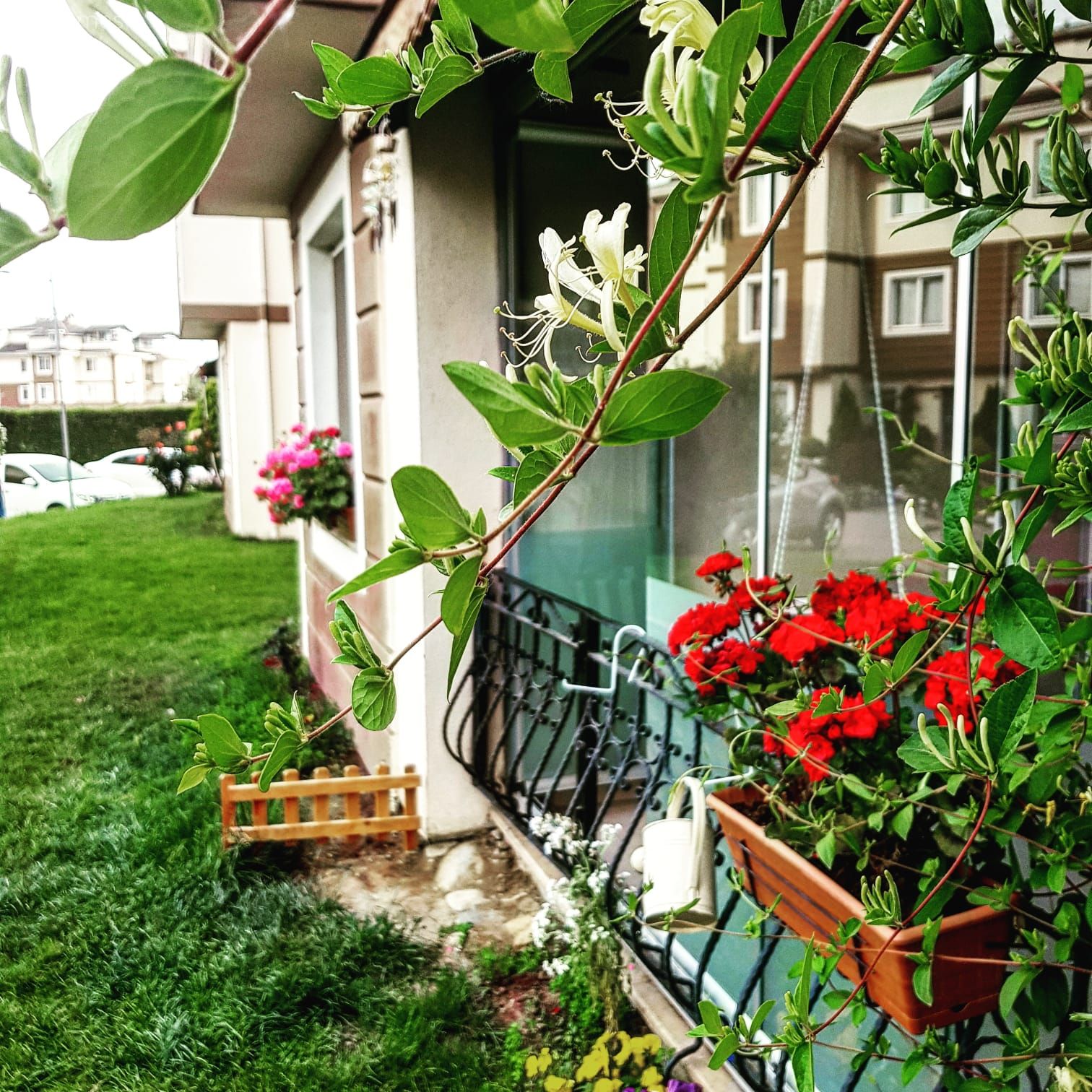 Dış cephe, Bahçe, Çiçekler