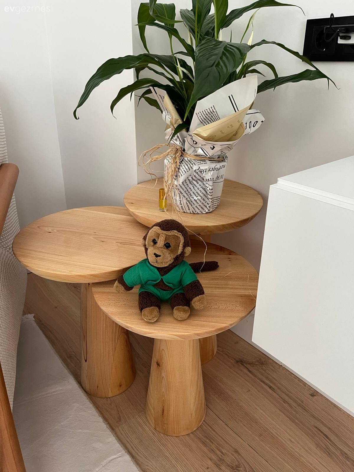 Yan sehpa, Sehpa, Ahşap Mobilya, Ev bitkisi, Dekoratif Objeler, Tv ünitesi, Tv ünitesi aksesuarları, Ev Aksesuar