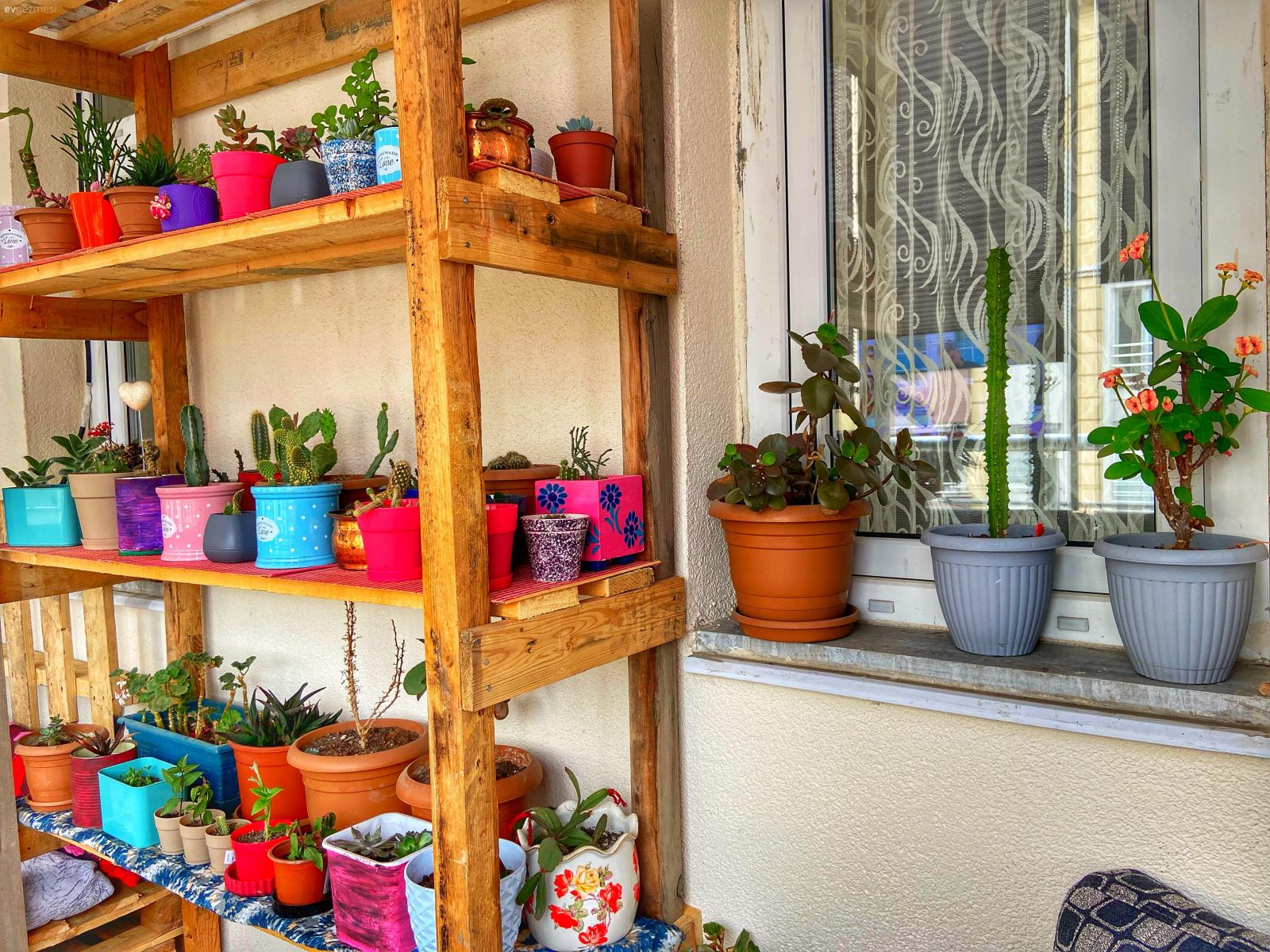 Bol Ahşaplı Bu Samsun Evi Otantikliği Seviyor!