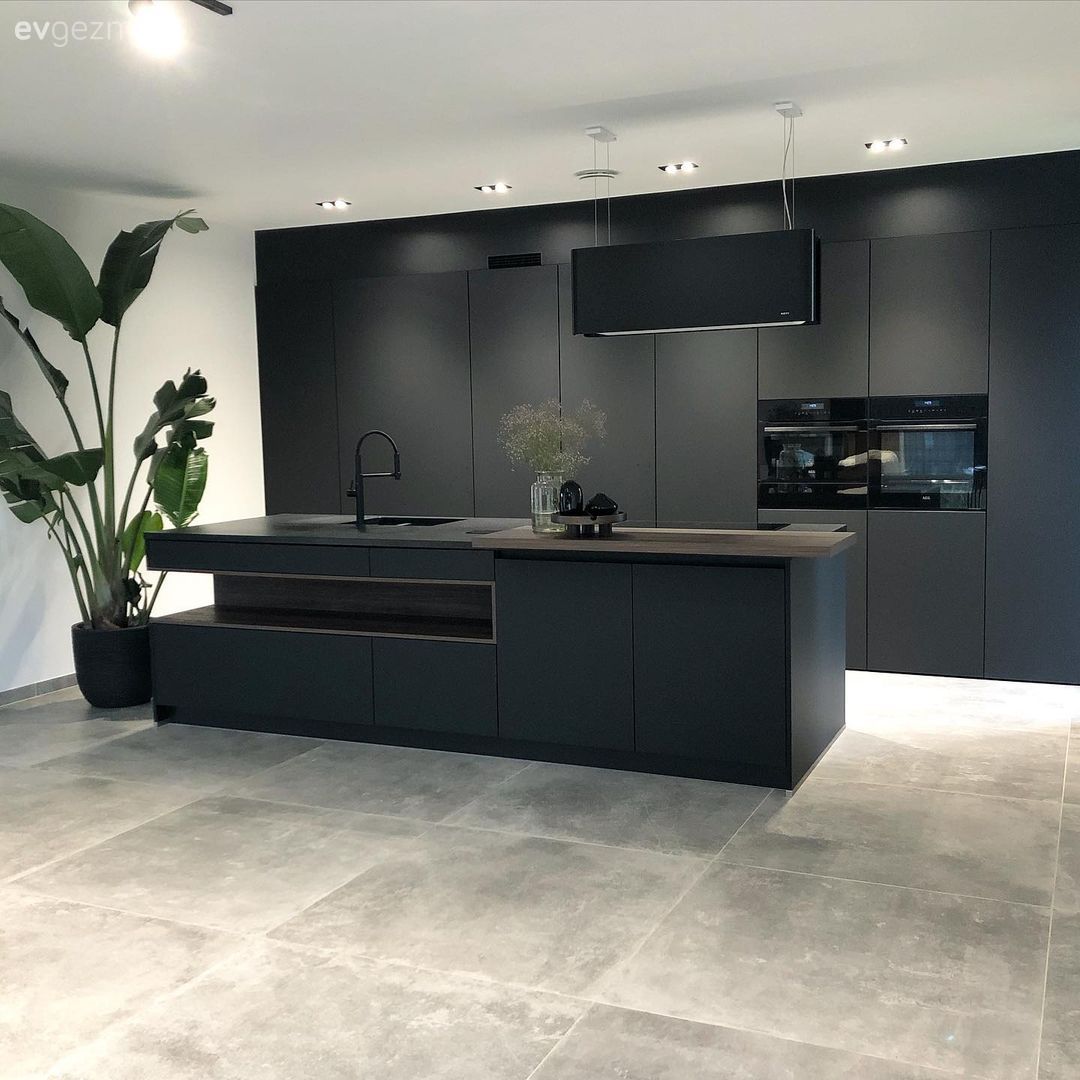 Mutfak, Modern mutfak, Siyah mutfak, Ada mutfak, Kulpsuz mutfak dolabı, Ankastre, Mutfak zemin seramikleri, Saksı, Ev bitkisi, Spot aydınlatma, Aydınlatma