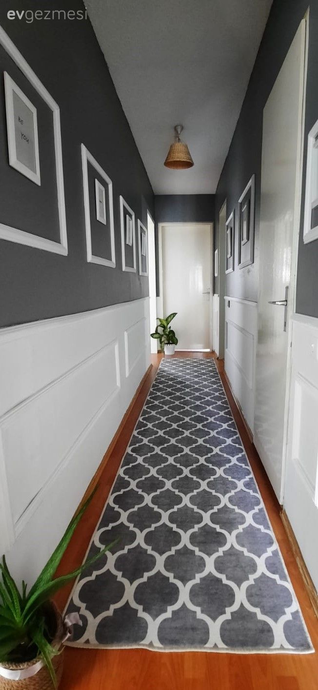 Hol, Beyaz, Gri duvar, Duvar çıtalama, Çerçeve, Halı, Antre halısı, Ev bitkisi