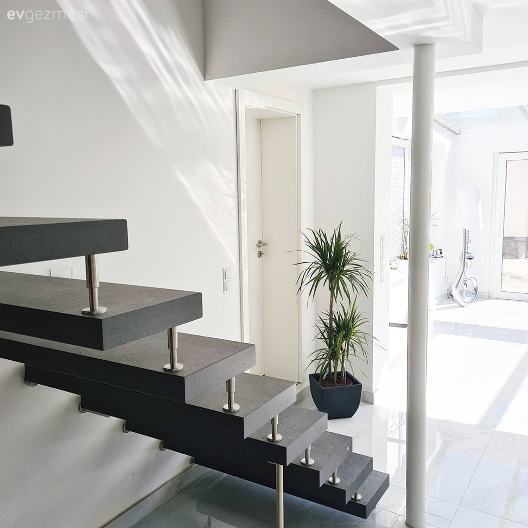 Dubleks evler, Merdiven, Ev bitkisi, Beyaz, Siyah