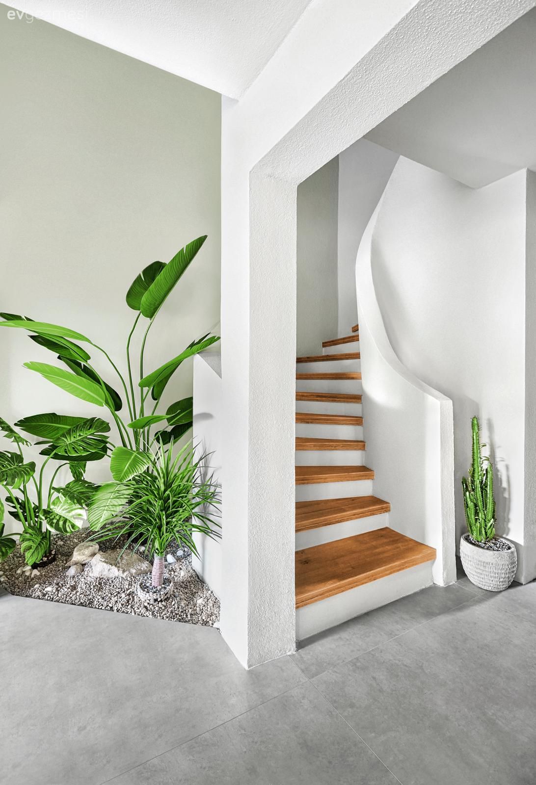 Dubleks evler, Ahşap merdiven, Merdiven, Ev bitkisi, Zemin seramikleri