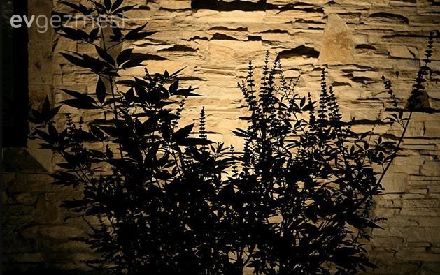 Bahçe Aydınlatması Nasıl Olmalı? 30+ Farklı Fikir