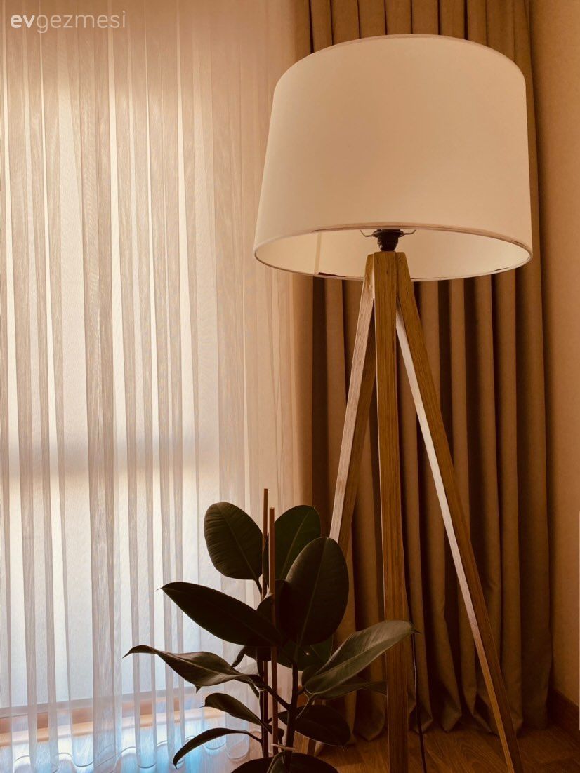 Beyaz, Krem, Fon perde, Perde, Tül perde, Ev bitkisi, Lambader, Aydınlatma