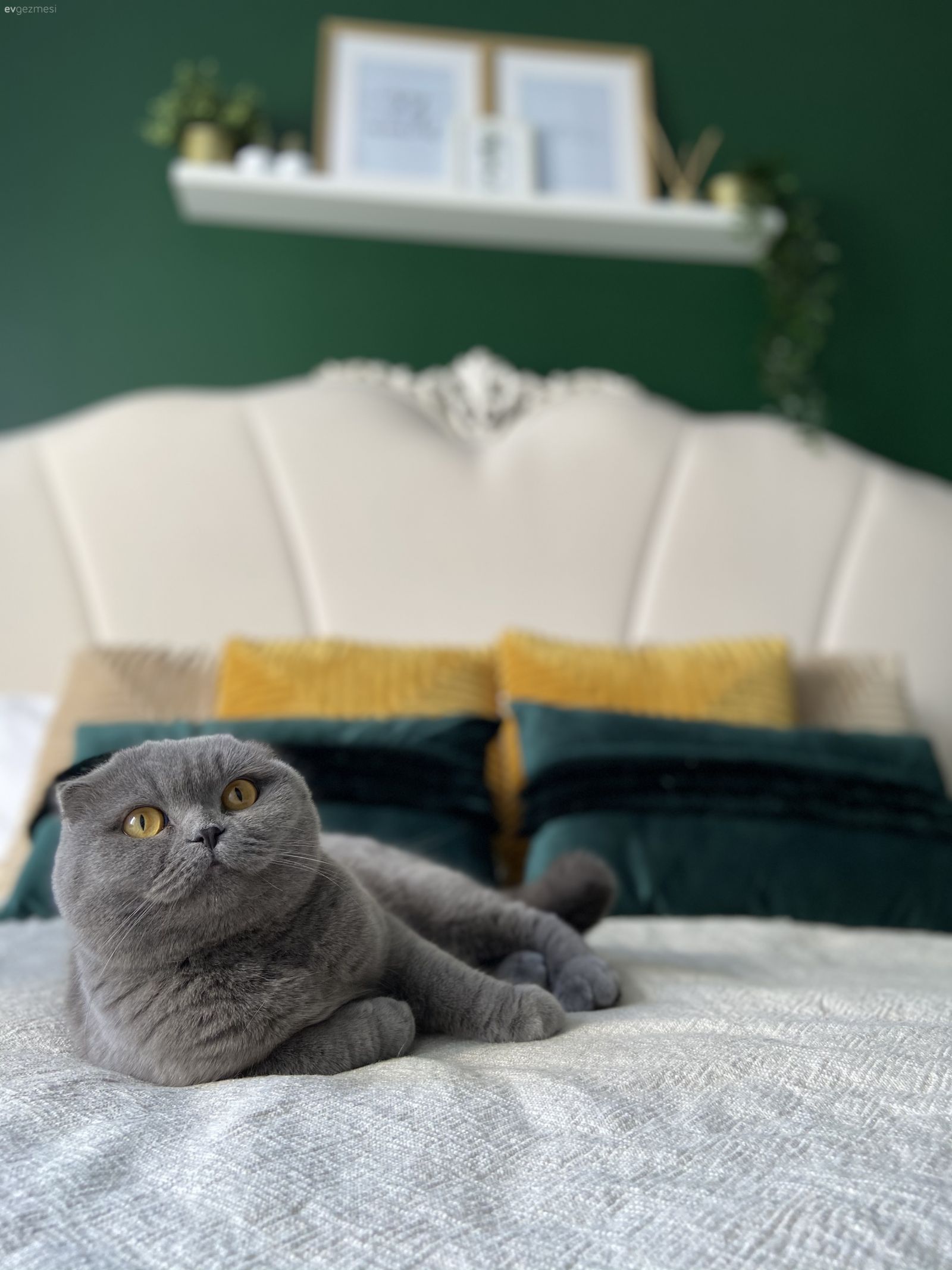 Yatak Odası, Beyaz, Yeşil duvar, Krem, Bej, Yeşil, Abajur, Aydınlatma, Yatak başlığı, Kırlent, Ev tekstili, Çerçeve, Zümrüt yeşili, Komodin