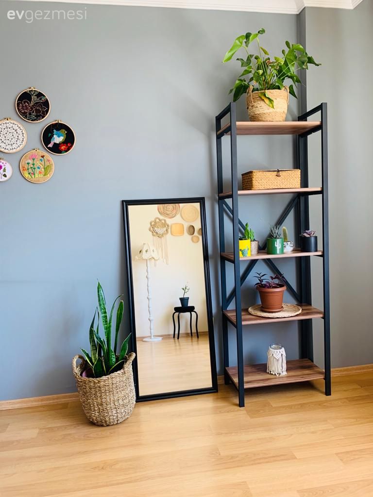 Parke, Mavi duvar, Kitaplık, Boy aynası, Ayna, Hasır sepet, Ev bitkisi, Duvar dekorasyonu