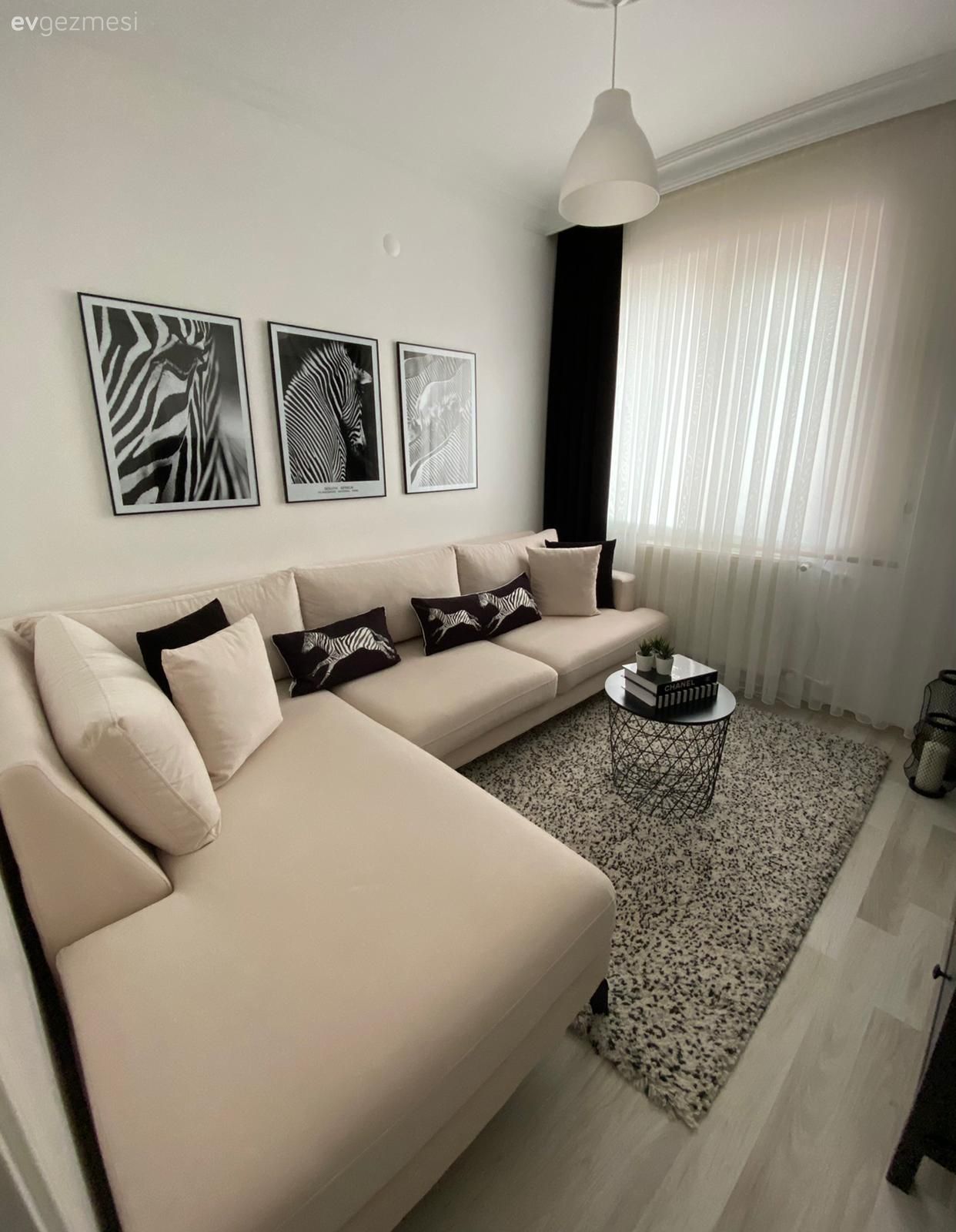 Salon, Modern, Köşe koltuk, Koltuk takımı, Krem, Bej, Vizon, Tablo, Duvar dekorasyonu, Halı, Salon halısı, Fon perde, Perde, Avize, Aydınlatma