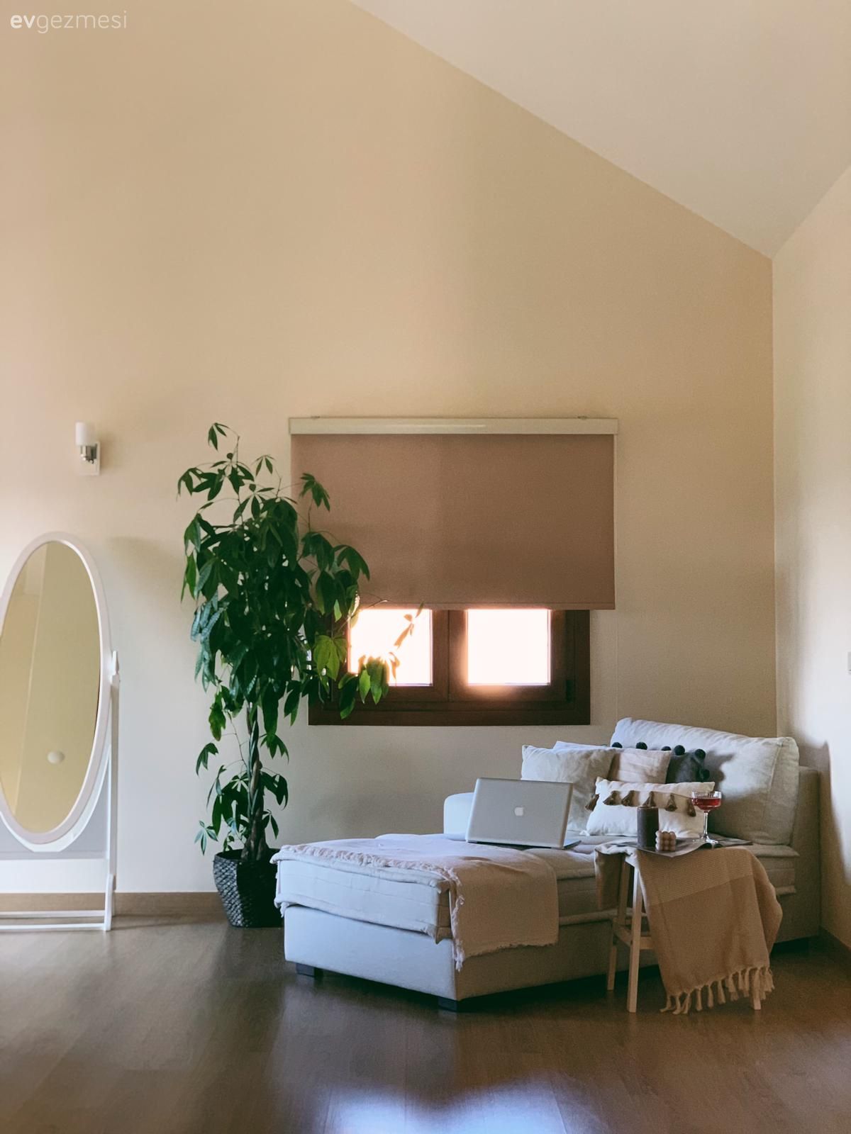 Beykoz'daki Bu Müstakil Evde Bitkilerin Boyu Tavana Kadar!