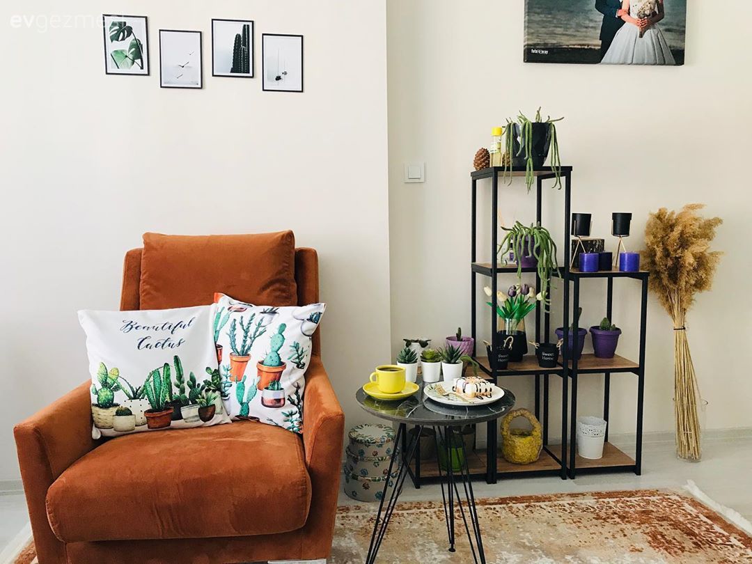 Turuncu, Berjer, Kırlent, Ev tekstili, Siyah, Yeşil, Sehpa, Çerçeve, Duvar dekorasyonu, Vazo, Ev Aksesuar, Pampas otu, Çiçeklik, Ev bitkisi