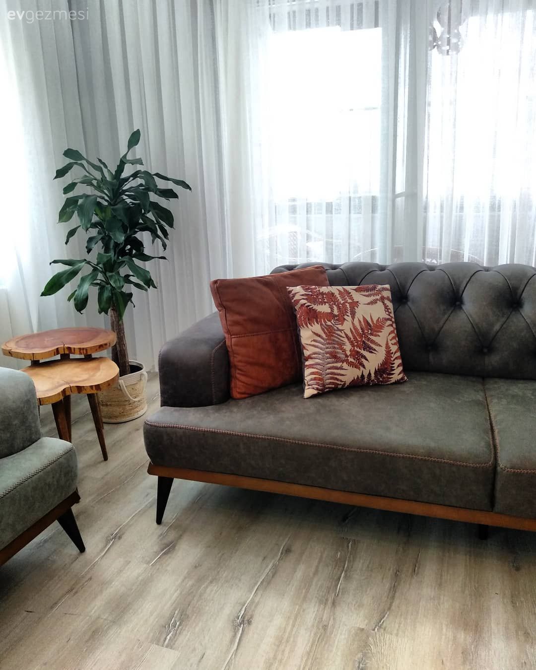 Ev Gezmesi: Modern ve Rustik Detayların Sıcacık Buluşması