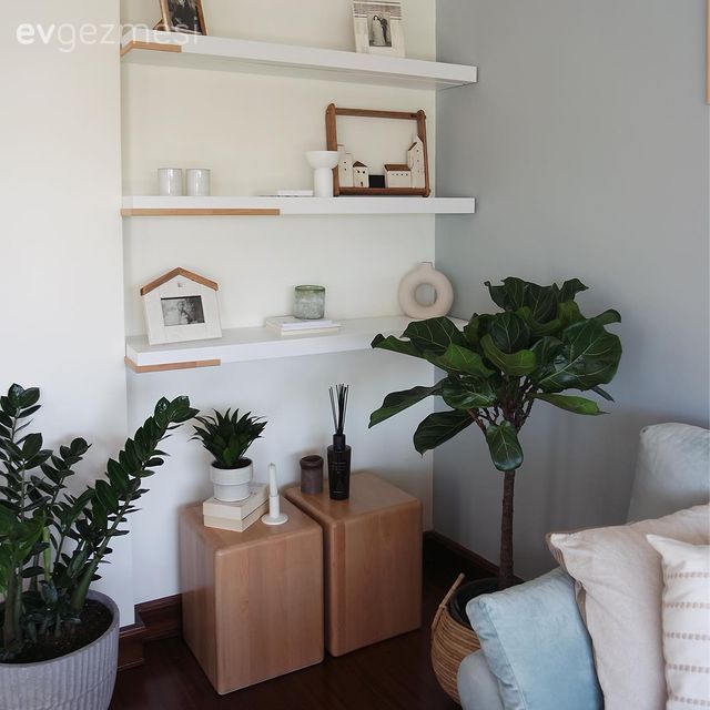 Beyaz, Duvar rafı, Duvar dekorasyonu, Dekoratif Objeler, Ev bitkisi, Kırlent, Ev tekstili