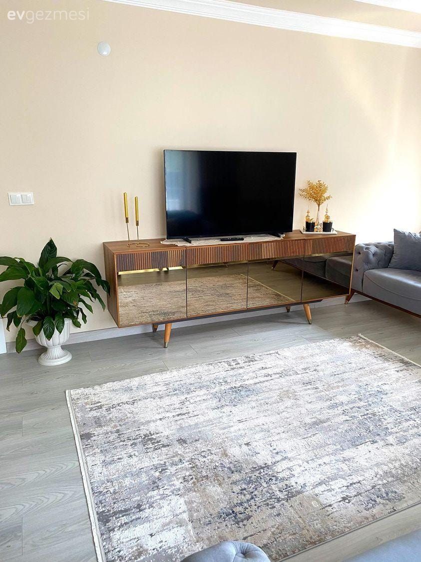 Tv ünitesi, Tv ünitesi aksesuarları, Ev Aksesuar, Halı, Koltuk takımı, Gri, Beyaz, Saksı, Ev bitkisi