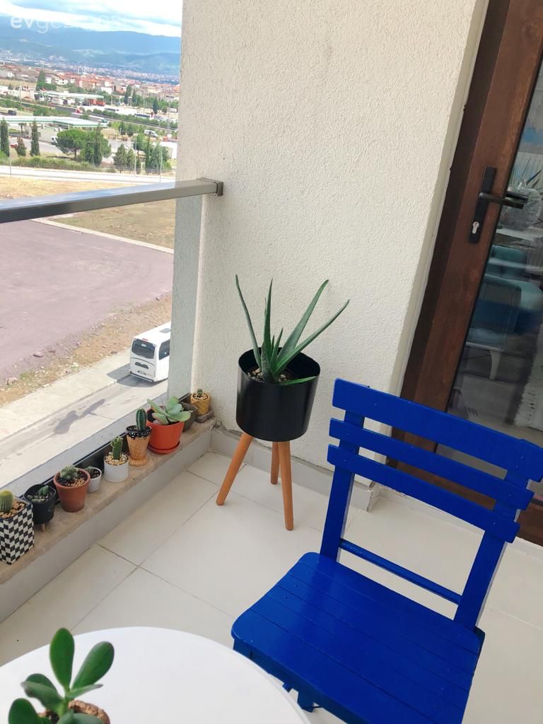 Balkon, Balkon masası, Sandalye, Beyaz, İndigo Mavisi, Saksı, Ev bitkisi
