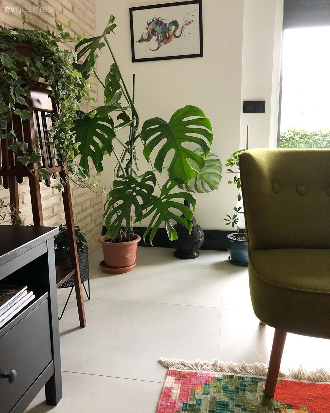 Yeşil, Siyah, Kilim, Ev bitkisi, Tv ünitesi, Berjer, Tablo, Duvar dekorasyonu, Taş duvar, Saksı