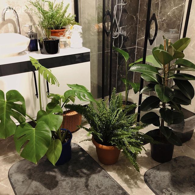 Banyo, Beyaz, Siyah, Duşakabin, Banyo paspası