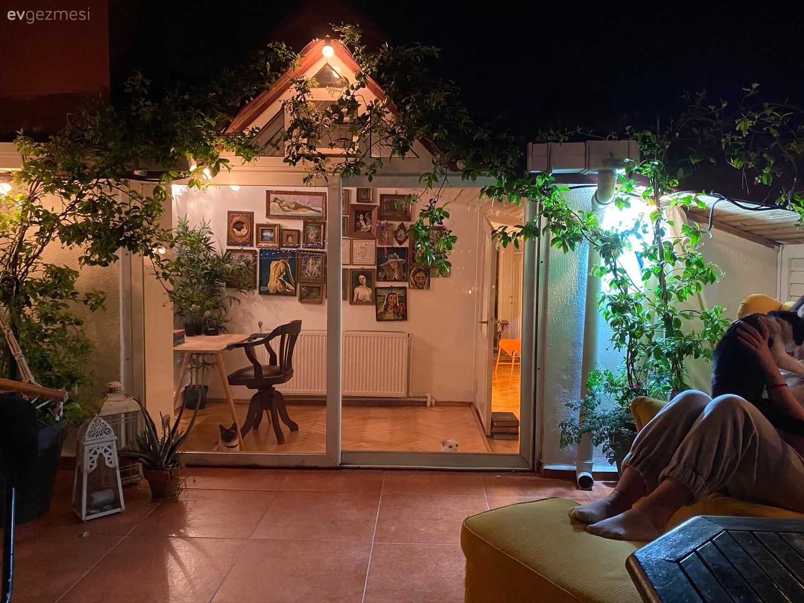 Teras, Ev bitkisi, Balkon oturma grubu, Balkon, Balkon masası, Sandalye, Ahşap Mobilya, Manzaralı evler