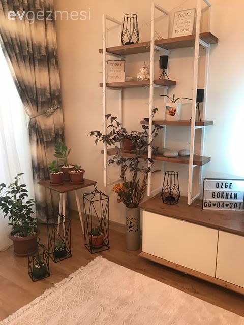 Salon, Beyaz, Gri, Ahşap Mobilya, Kitaplık, Kitaplık dekoratif objeleri, Ev Aksesuar, Tv ünitesi, Yan sehpa, Sehpa, Ev bitkisi, Saksı, Mumluk, Vazo