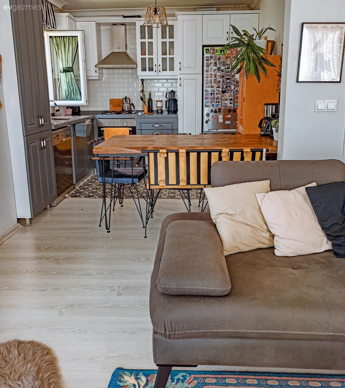 Salon, Bohem Dekorasyon, Kahverengi, Turuncu, Koltuk takımı, Kırlent, Ev tekstili, Amerikan Mutfak, Mutfak, Mutfak masası, Sandalye, Ahşap Mobilya, Gri, Ev bitkisi, Davlumbaz