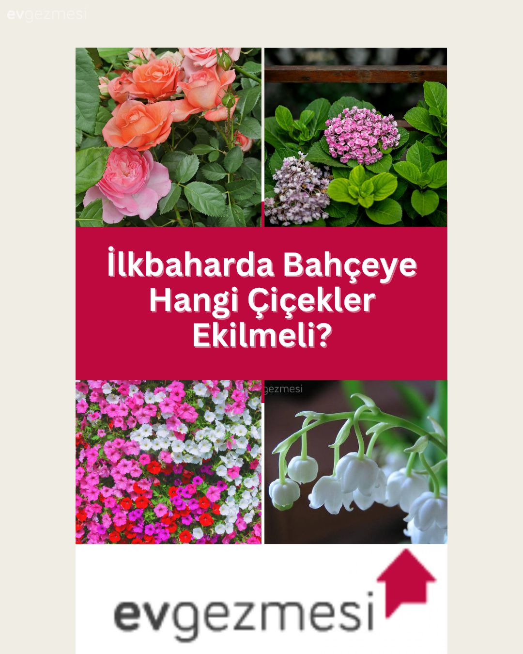 İlkbaharda Bahçeye Hangi Çiçekler Ekilmeli?