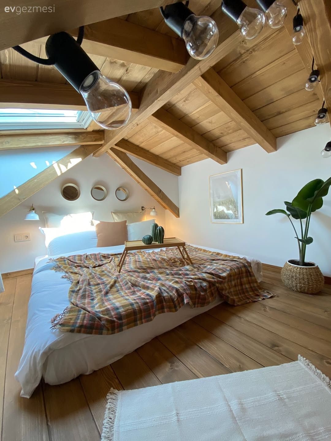 Tiny house, Ahşap ev