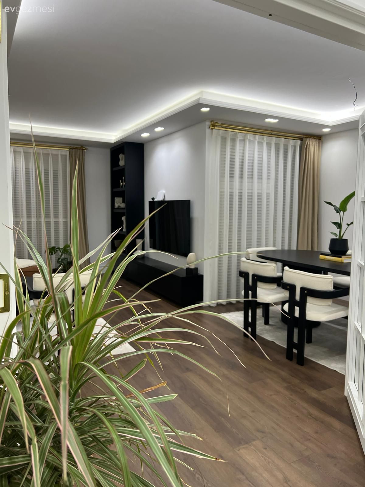Salon, Modern, Siyah, Krem, Beyaz, Sandalye, Yemek masası, Parke, Ev bitkisi, Fon perde, Perde, Tül perde, Led aydınlatma, Aydınlatma, Spot aydınlatma, Tv ünitesi, Tv ünitesi aksesuarları, Ev Aksesuar
